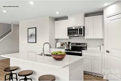 203 Hibiscus Drive, Pageland, SC 29728 - Photo 4