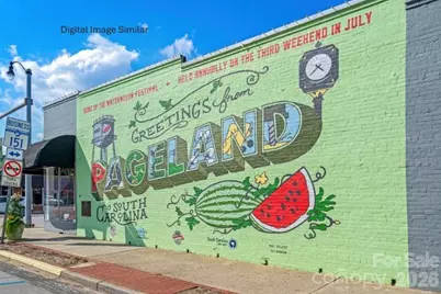 205 Maggys Way, Pageland, SC 29728 - Photo 12