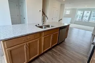 549 Annie Lowery Wy, Davidson, NC 28036 - Photo 12