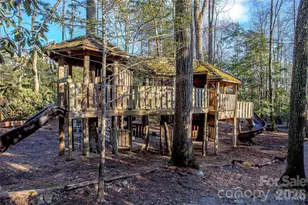 30 Stills Creek Loop, Fairview, NC 28730 - Photo 44