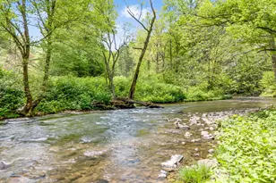 16 Caddis Ct, Marshall, NC 28753 - Photo 40