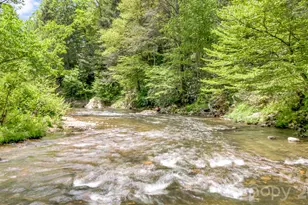 16 Caddis Ct, Marshall, NC 28753 - Photo 38