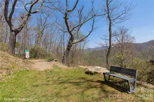 14 Lila Ln, Clyde, NC 28721 - Photo 30