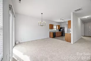 9006 Corey Common Ave, Charlotte, NC 28216 - Photo 10