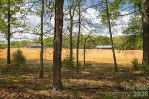 824 N Forest Hills School Rd, Marshville, NC 28103 - Photo 48