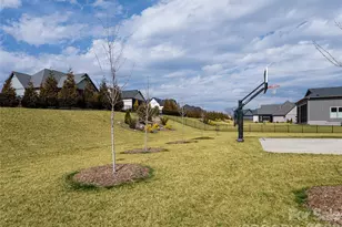 744 Daniel Cir Dr, Mills River, NC 28759 - Photo 42