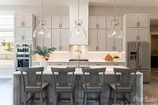 744 Daniel Cir Dr, Mills River, NC 28759 - Photo 12