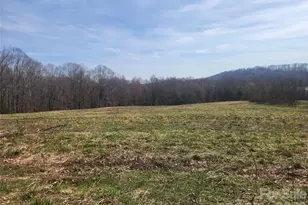 363 Center Church Rd, Hiddenite, NC 28636 - Photo 4