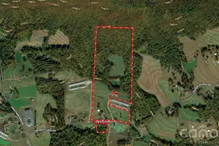 363 Center Church Rd, Hiddenite, NC 28636 - Photo 16