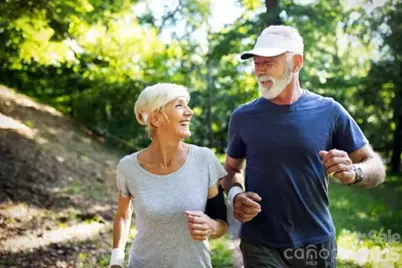 4208 Vista Pine Drive, Charlotte, NC 28215 - Photo 30