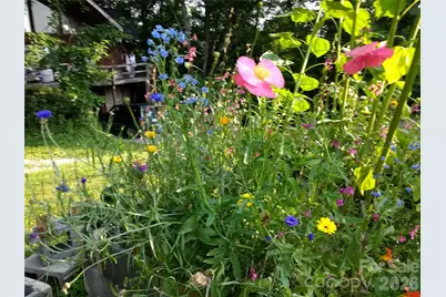 429 Biodome Drive, Waynesville, NC 28785 - Photo 38