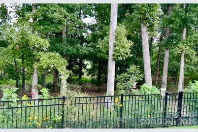 479 Shallowford Drive, Rock Hill, SC 29732 - Photo 32