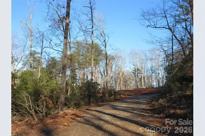 0 Levi Road, Columbus, NC 28722 - Photo 36