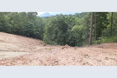 0 Levi Road, Columbus, NC 28722 - Photo 22