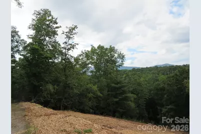 0 Levi Road, Columbus, NC 28722 - Photo 10