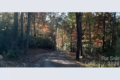 0 Levi Road, Columbus, NC 28722 - Photo 14