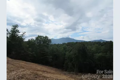 0 Levi Road, Columbus, NC 28722 - Photo 24