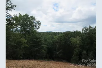 0 Levi Road, Columbus, NC 28722 - Photo 12