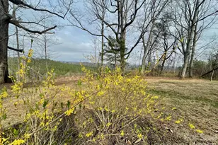 517 Union Rd, Rutherfordton, NC 28139 - Photo 34