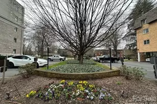 1323 Queens Rd, Charlotte, NC 28207 - Photo 2