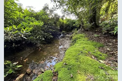 3434 Old Jonas Ridge Road, Newland, NC 28657 - Photo 12