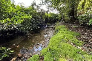 3434 Old Jonas Ridge Rd, Newland, NC 28657 - Photo 12