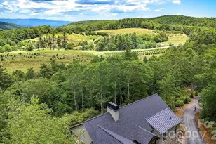 3434 Old Jonas Ridge Rd, Newland, NC 28657 - Photo 6
