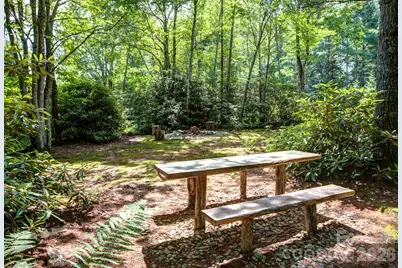 3434 Old Jonas Ridge Road, Newland, NC 28657 - Photo 46