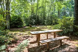 3434 Old Jonas Ridge Rd, Newland, NC 28657 - Photo 46
