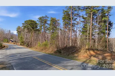 0 Hooker Road, Tryon, NC 28782 - Photo 20