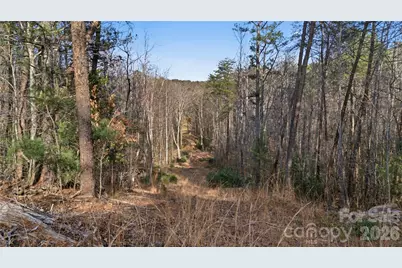 0 Hooker Road, Tryon, NC 28782 - Photo 18