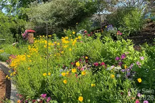 33 Asher Ln, Arden, NC 28704 - Photo 36