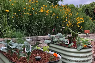 33 Asher Ln, Arden, NC 28704 - Photo 38