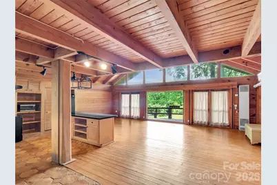 429 Biodome Drive, Waynesville, NC 28785 - Photo 6