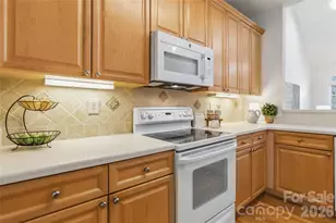 9155 Providence Colony Dr, Charlotte, NC 28277 - Photo 12