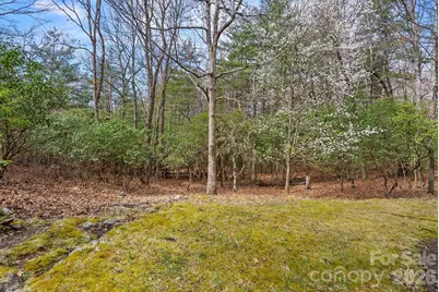 75 Wodigeasgohi Drive, Brevard, NC 28712 - Photo 30