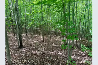 V/L Scenic Vista Drive #248, Nebo, NC 28761 - Photo 4