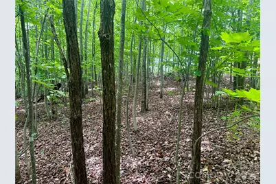 V/L Scenic Vista Drive #248, Nebo, NC 28761 - Photo 10