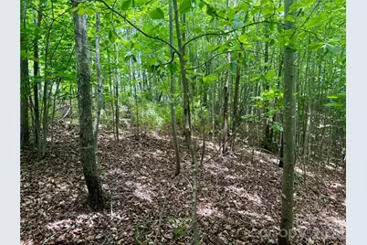 V/L Scenic Vista Drive #248, Nebo, NC 28761 - Photo 6