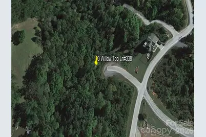 0 Willow Top Lane #338, Lake Lure, NC 28746 - Photo 2