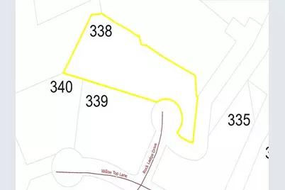 0 Willow Top Lane #338, Lake Lure, NC 28746 - Photo 4