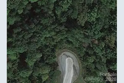 0 Willow Top Lane #338, Lake Lure, NC 28746 - Photo 6