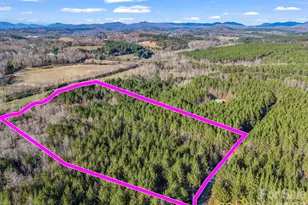 0 Farmer Johns Trail, Rutherfordton, NC 28139 - Photo 1