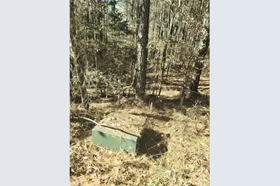 0 Farmer Johns Trail #9, Rutherfordton, NC 28139 - Photo 12