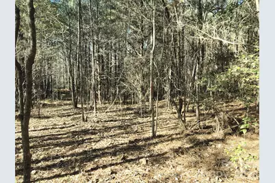 0 Farmer Johns Trail #9, Rutherfordton, NC 28139 - Photo 26