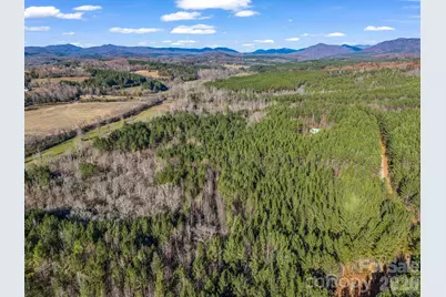 0 Farmer Johns Trail #9, Rutherfordton, NC 28139 - Photo 8