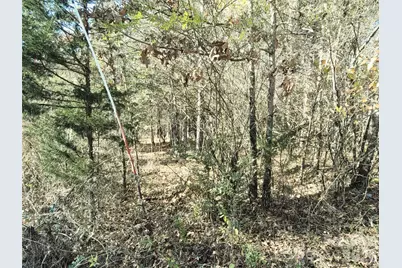 0 Farmer Johns Trail #9, Rutherfordton, NC 28139 - Photo 14