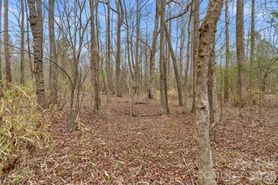 0000 Coldstream Road, Heath Springs, SC 29058 - Photo 16