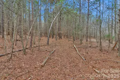 0000 Coldstream Road, Heath Springs, SC 29058 - Photo 30