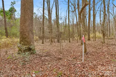 0000 Coldstream Road, Heath Springs, SC 29058 - Photo 20